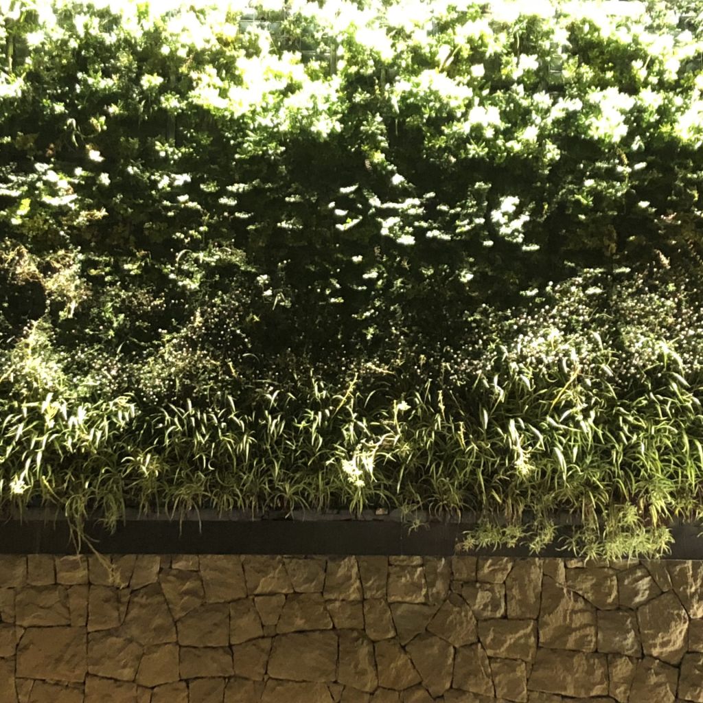 C.C. Los Patios